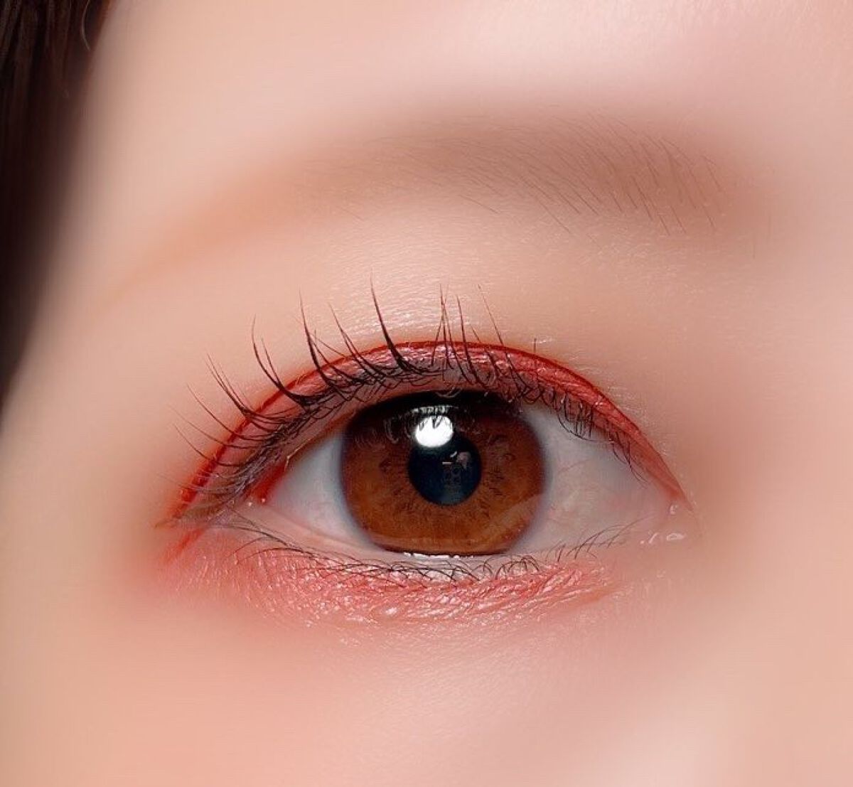 【旧】サンク クルール クチュール/Dior/アイシャドウパレットを使ったクチコミ(3枚目)