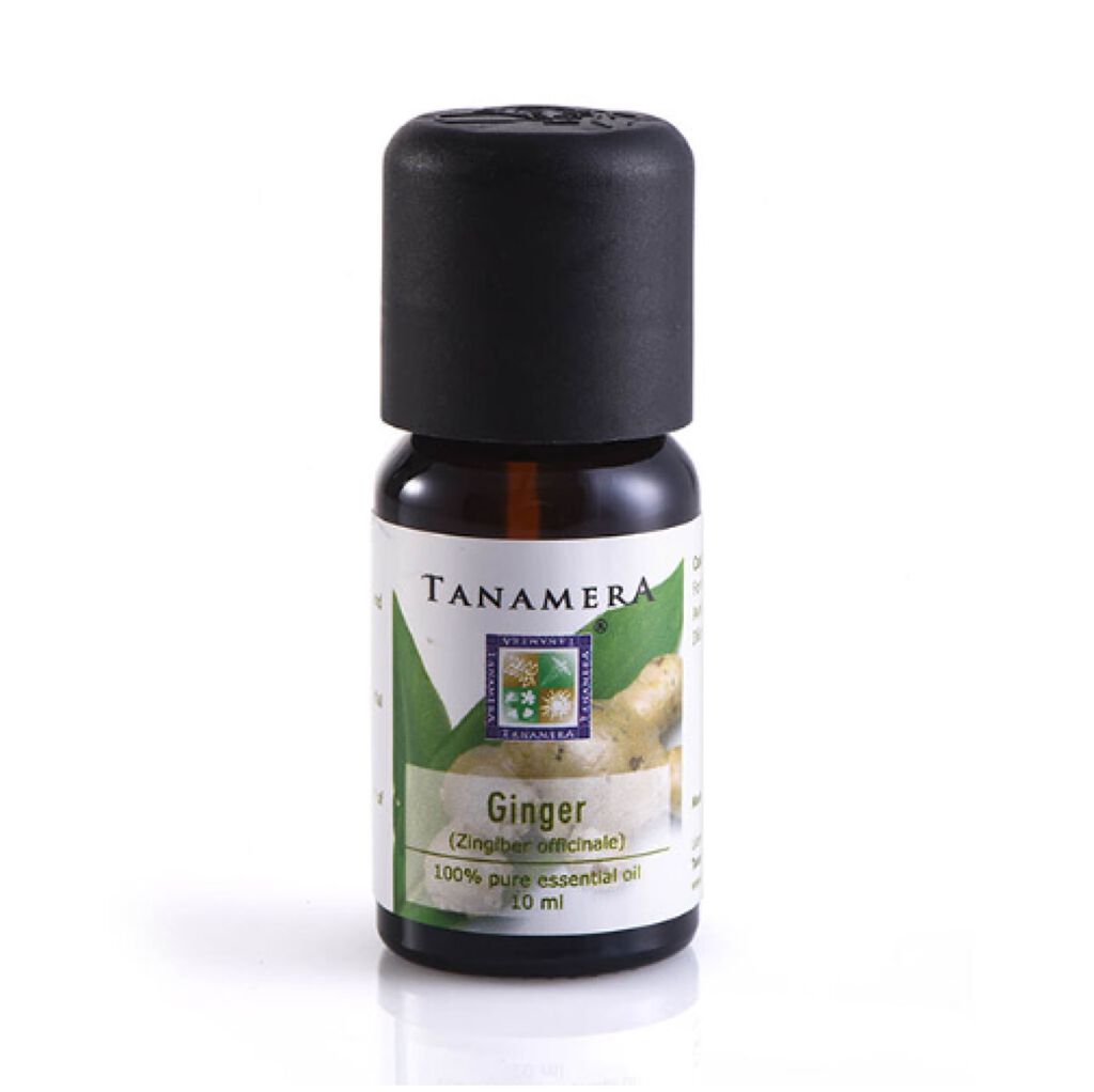 エッセンシャルオイル ジンジャー 