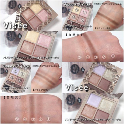 パノラマデザイン アイパレット/Visée/アイシャドウパレットを使ったクチコミ(8枚目)