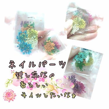 イタグレーゼ on LIPS 「💐ネイルパーツ💐🌸押し花🌸買ってみたけど、いろんな色があって迷..」（1枚目）