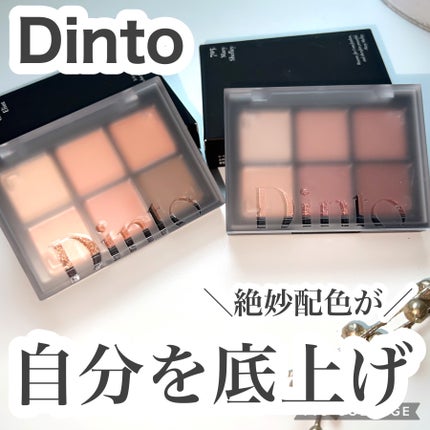 ブラーフィニシュシャドウパレット/Dinto/アイシャドウパレットを使ったクチコミ(1枚目)