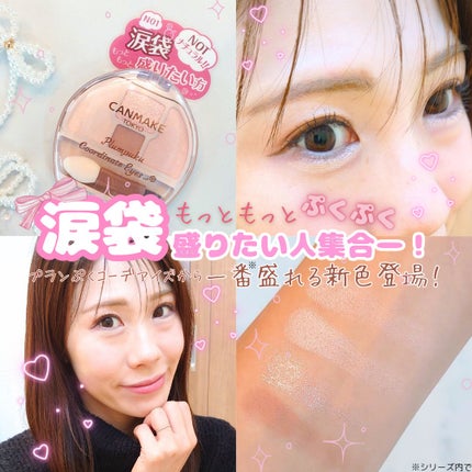プランぷくコーデアイズNeo/キャンメイク/アイシャドウを使ったクチコミ(1枚目)