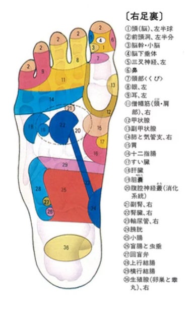 痩身棒/近澤式足裏健康養成学院/ボディグッズを使ったクチコミ（3枚目）