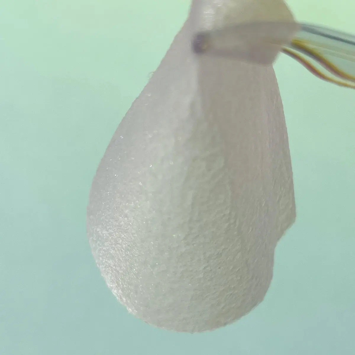 ポストアルファクーリングパッド/Cell Fusion C(セルフュージョンシー)/トナーパッドを使ったクチコミ(3枚目)