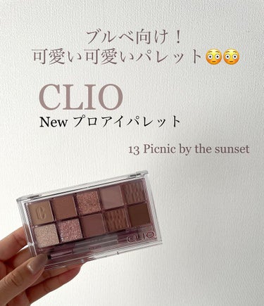 CLIOプロ アイ パレット13PICNIC BY THE SUNSET
価格：楽天市場で2500円ほど

✼••┈┈••✼••┈┈••✼••┈┈••✼••┈┈••✼

以下個人的な感想です❣️
Aes