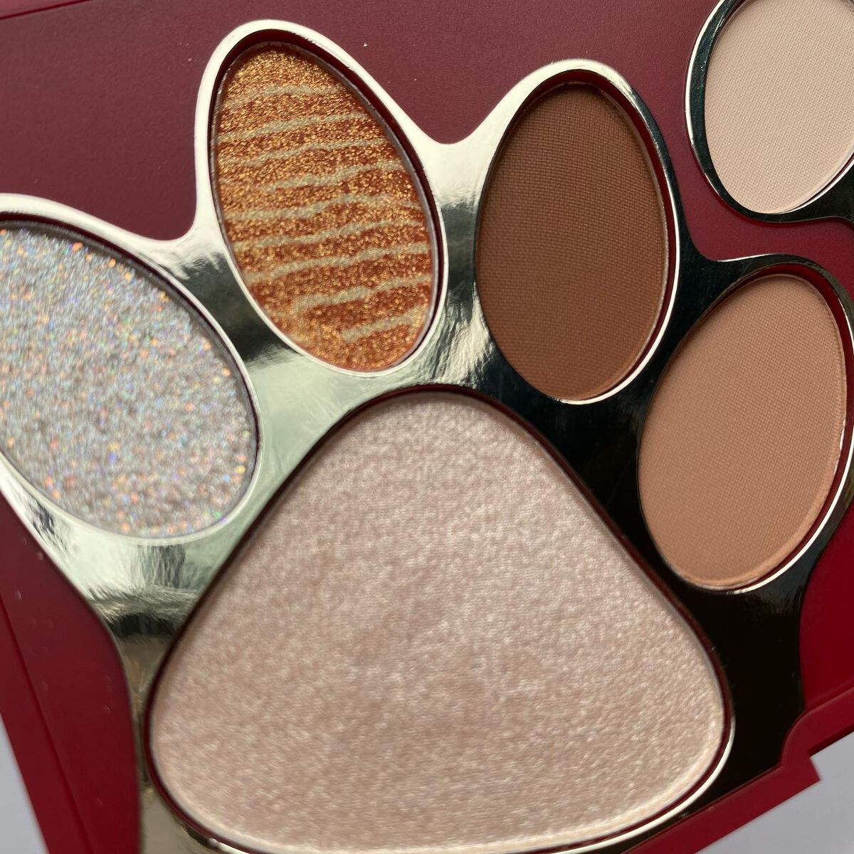 トラ十色アイシャドウパレット/COLORKEY/アイシャドウパレットを使ったクチコミ(3枚目)