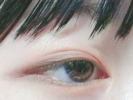 ヴィンテージモードアイズ/KATE/アイシャドウパレットを使ったクチコミ(1枚目)