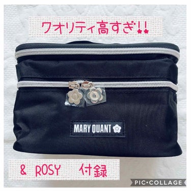 ポーチ/MARY QUANT/化粧ポーチを使ったクチコミ（1枚目）