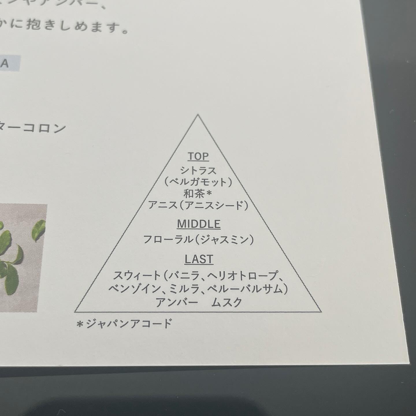 キモノ　マイ　ウォーターコロン/DECORTÉ/香水(レディース)を使ったクチコミ（3枚目）