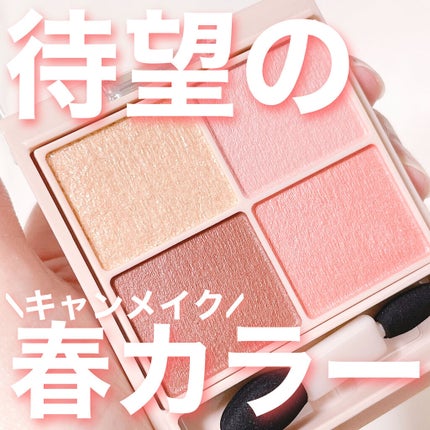 シルキースフレアイズ(マットタイプ)/キャンメイク/アイシャドウパレットを使ったクチコミ(1枚目)