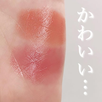 ネンマクフェイク ルージュ/Visée/口紅を使ったクチコミ(5枚目)