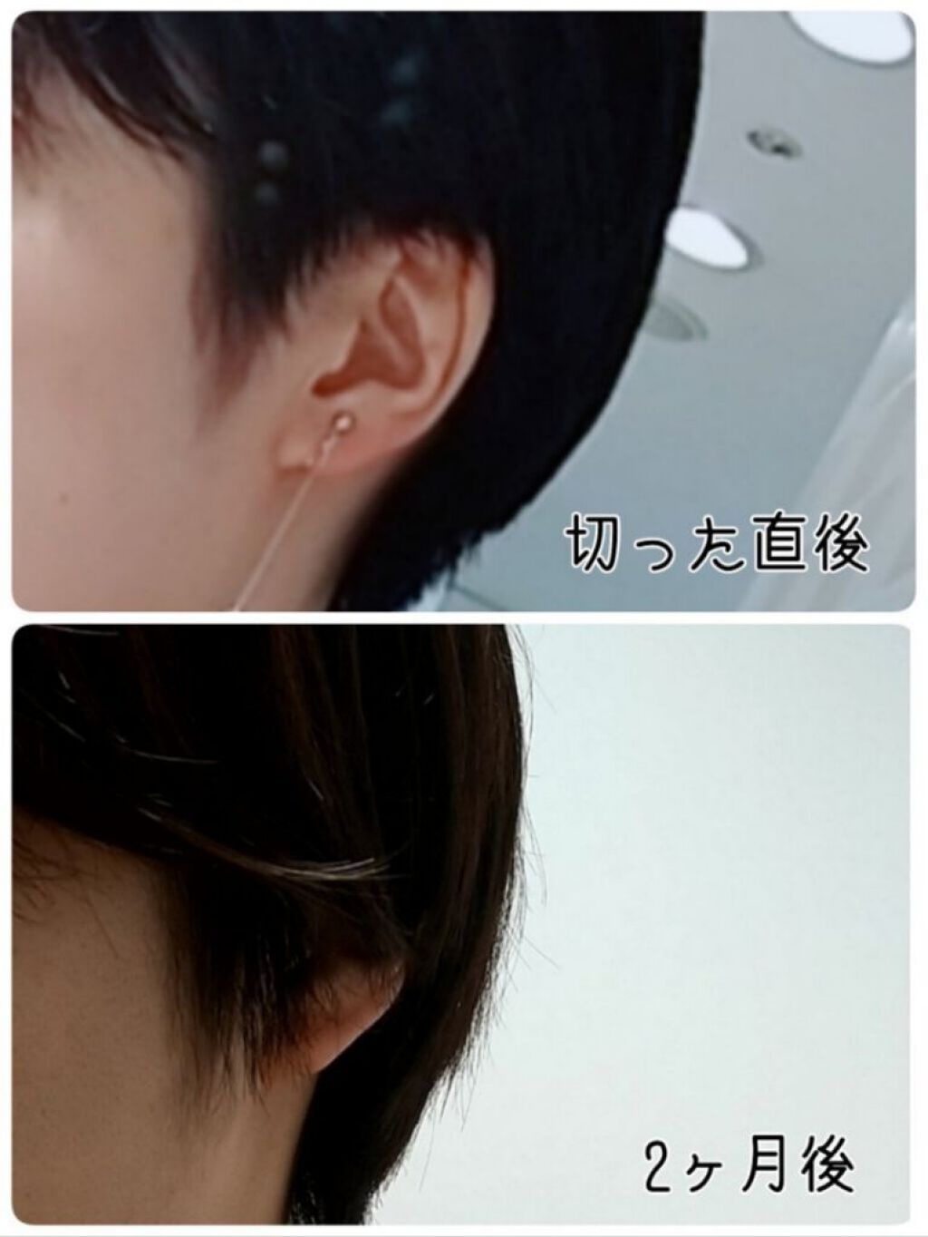 ヘアアクセルレーター フローラルの香り/加美乃素本舗/頭皮ローションを使ったクチコミ(2枚目)