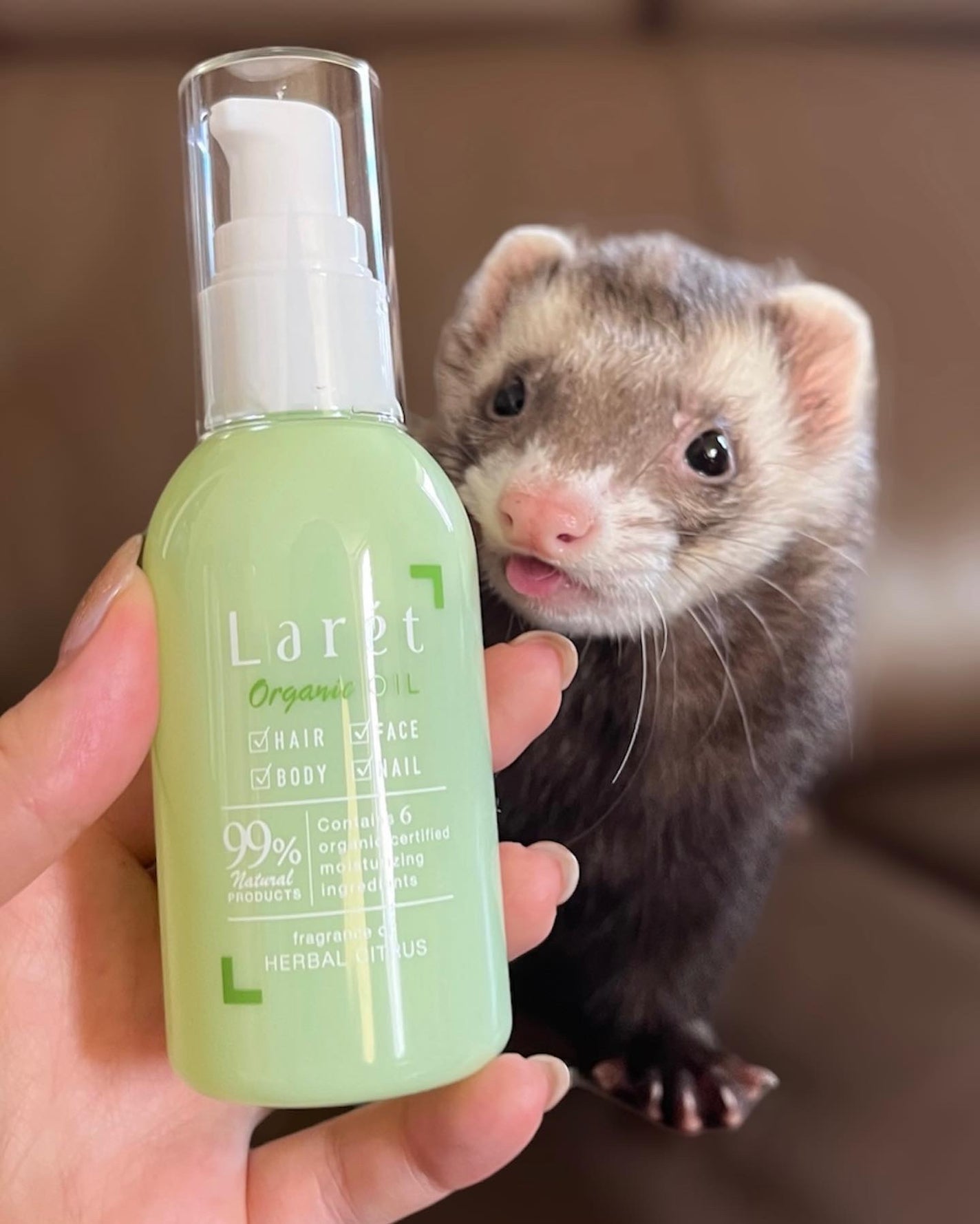 オーガニックオイル/Laret/ヘアオイルを使ったクチコミ(1枚目)