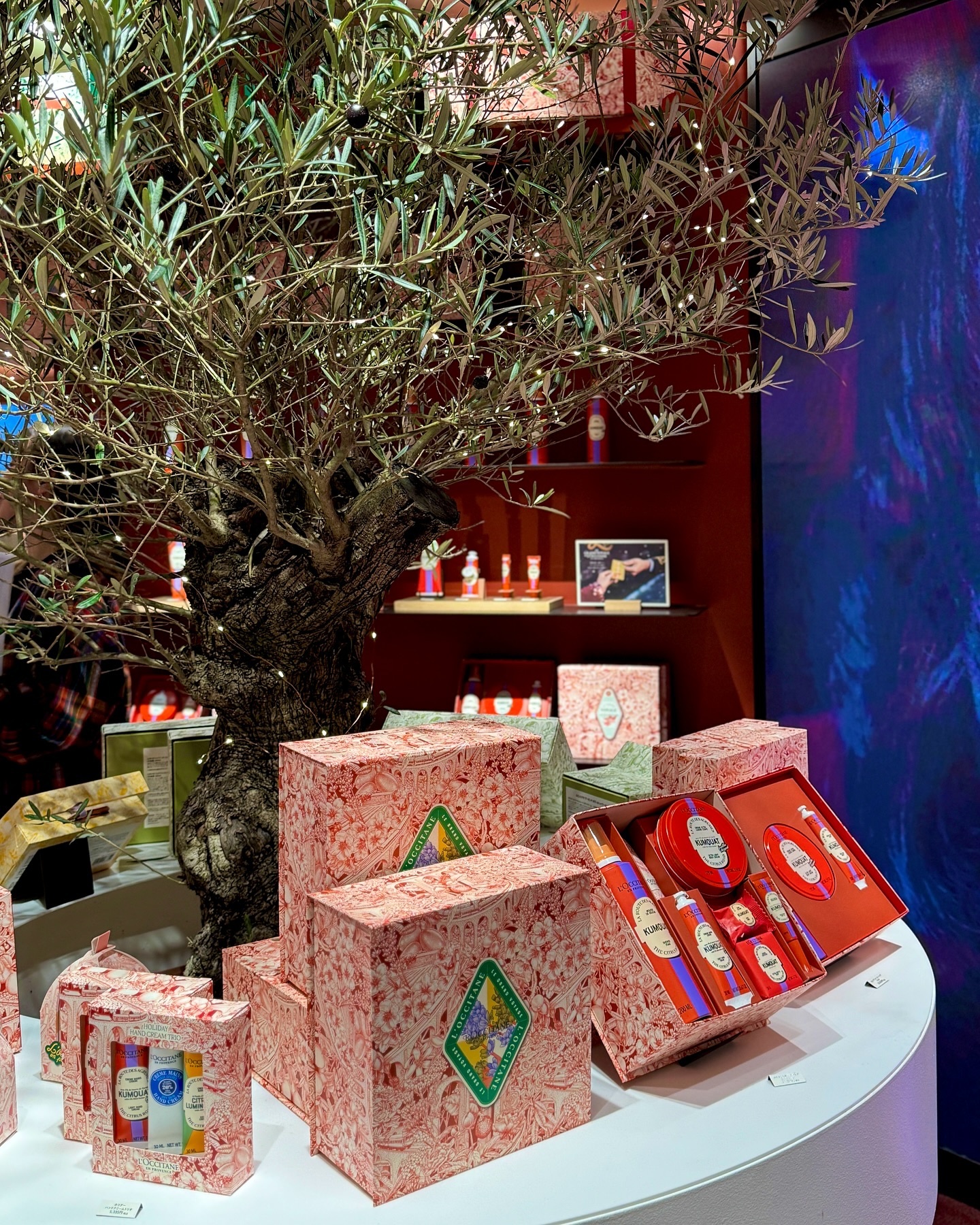 レーヌブランシュ イルミネイティングクレンジングフォーム/L'OCCITANE/泡洗顔を使ったクチコミ（3枚目）