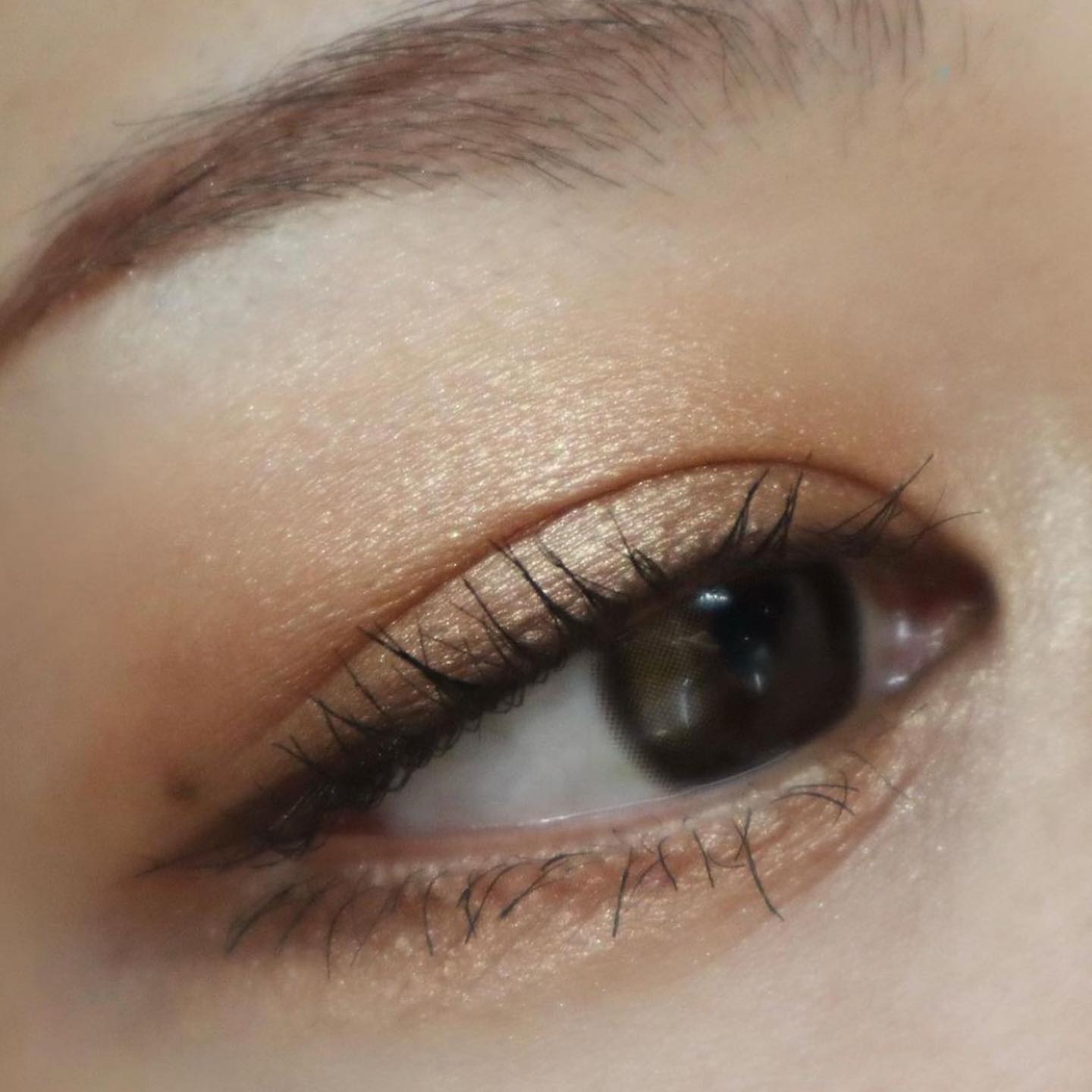 アイ カラー クォード/TOM FORD BEAUTY/アイシャドウパレットを使ったクチコミ（3枚目）