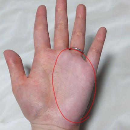 エアフィールメーカー ラベンダーカラー/インテグレート/化粧下地を使ったクチコミ(2枚目)