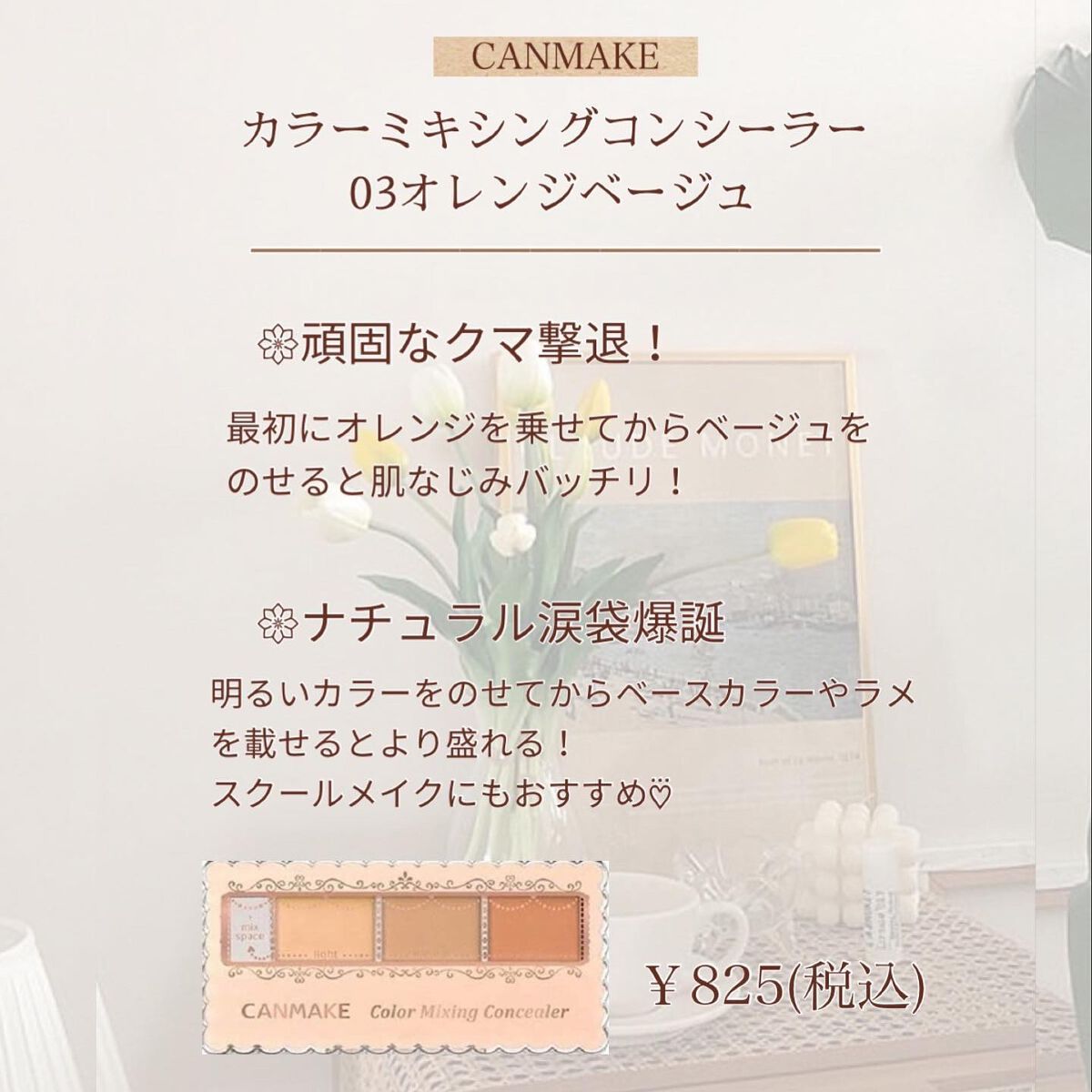 カラーミキシングコンシーラー/キャンメイク/パレットコンシーラーを使ったクチコミ（2枚目）