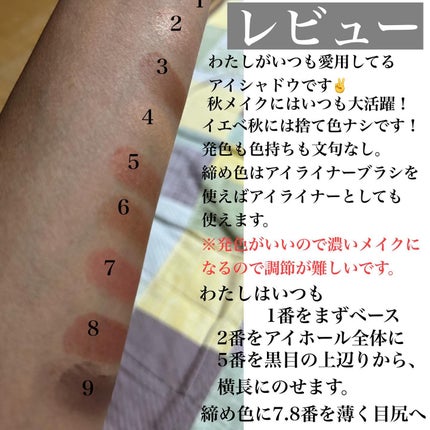 ディオール バックステージ アイ パレット/Dior/アイシャドウパレットを使ったクチコミ(2枚目)