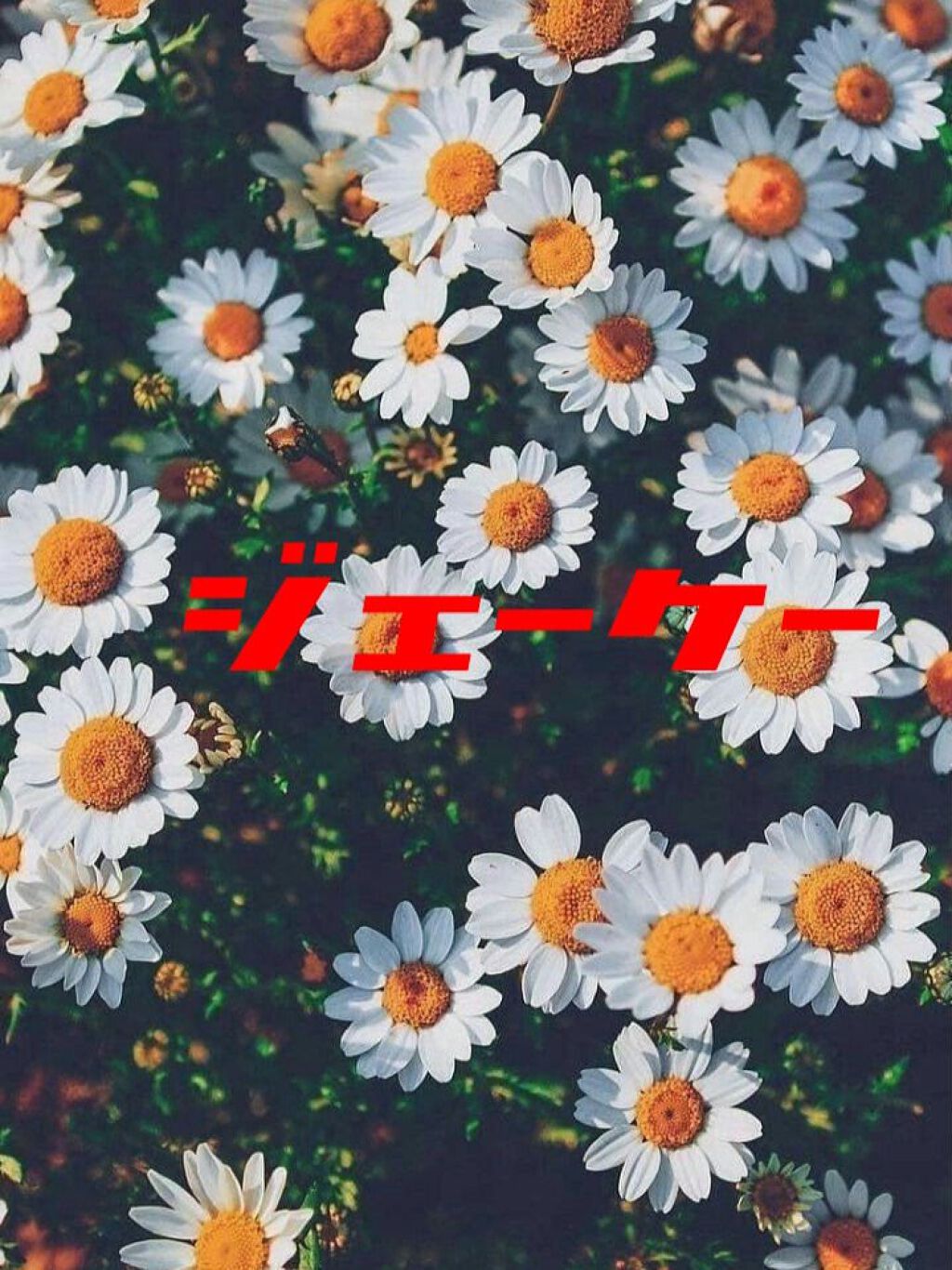 スキンケア洗顔料 スクラブin/ビオレ/洗顔フォームを使ったクチコミ（1枚目）