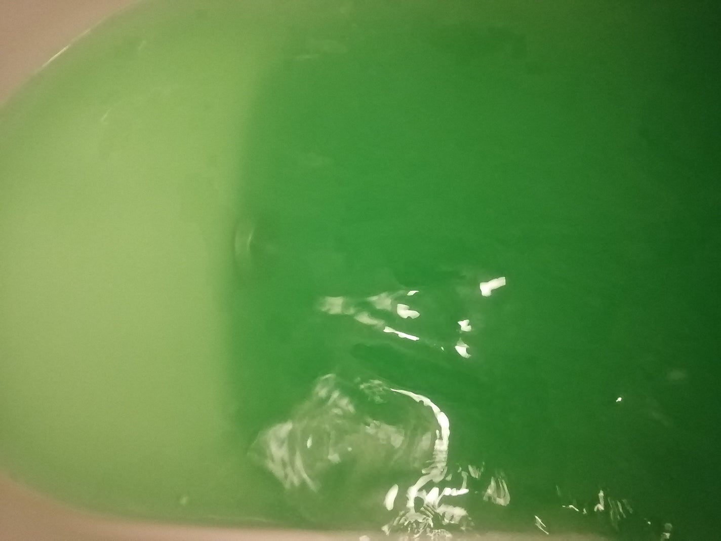 バスロマン ゆったり森の香り/バスロマン/入浴剤を使ったクチコミ(9枚目)