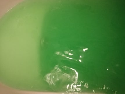 バスロマン ゆったり森の香り/バスロマン/入浴剤を使ったクチコミ(9枚目)