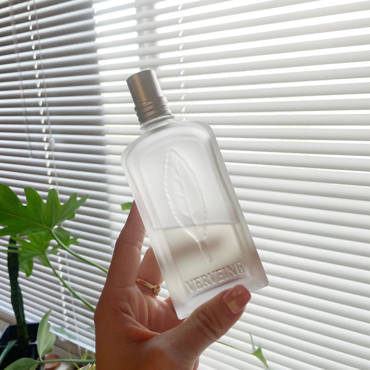 ミントヴァーベナ オードトワレ/L'OCCITANE/香水(レディース)を使ったクチコミ(2枚目)