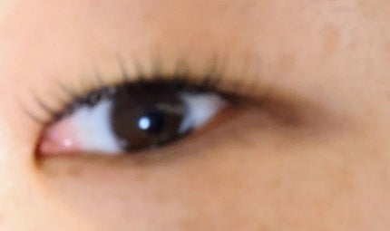 shiny_gloss_x1n on LIPS 「マツエクした記念ですフラットラッシュのDカール化粧が楽になった..」(1枚目)