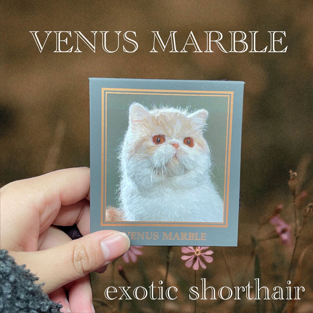 Venus Marble アイシャドウキャットシリーズ/Venus Marble/アイシャドウパレットを使ったクチコミ(1枚目)