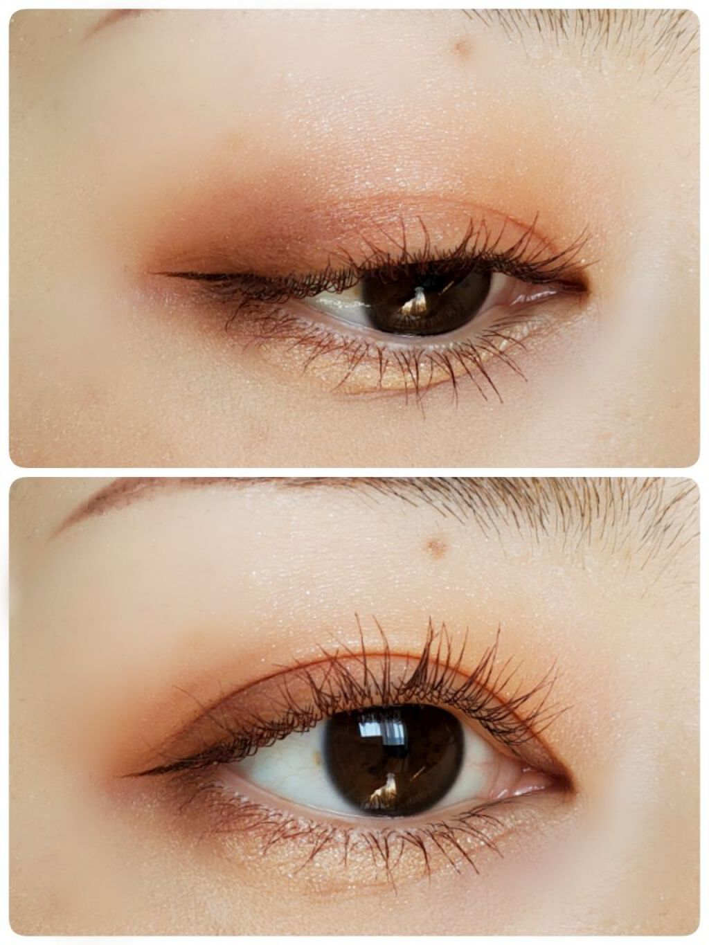 THE アイパレR/b idol/アイシャドウパレットを使ったクチコミ（2枚目）