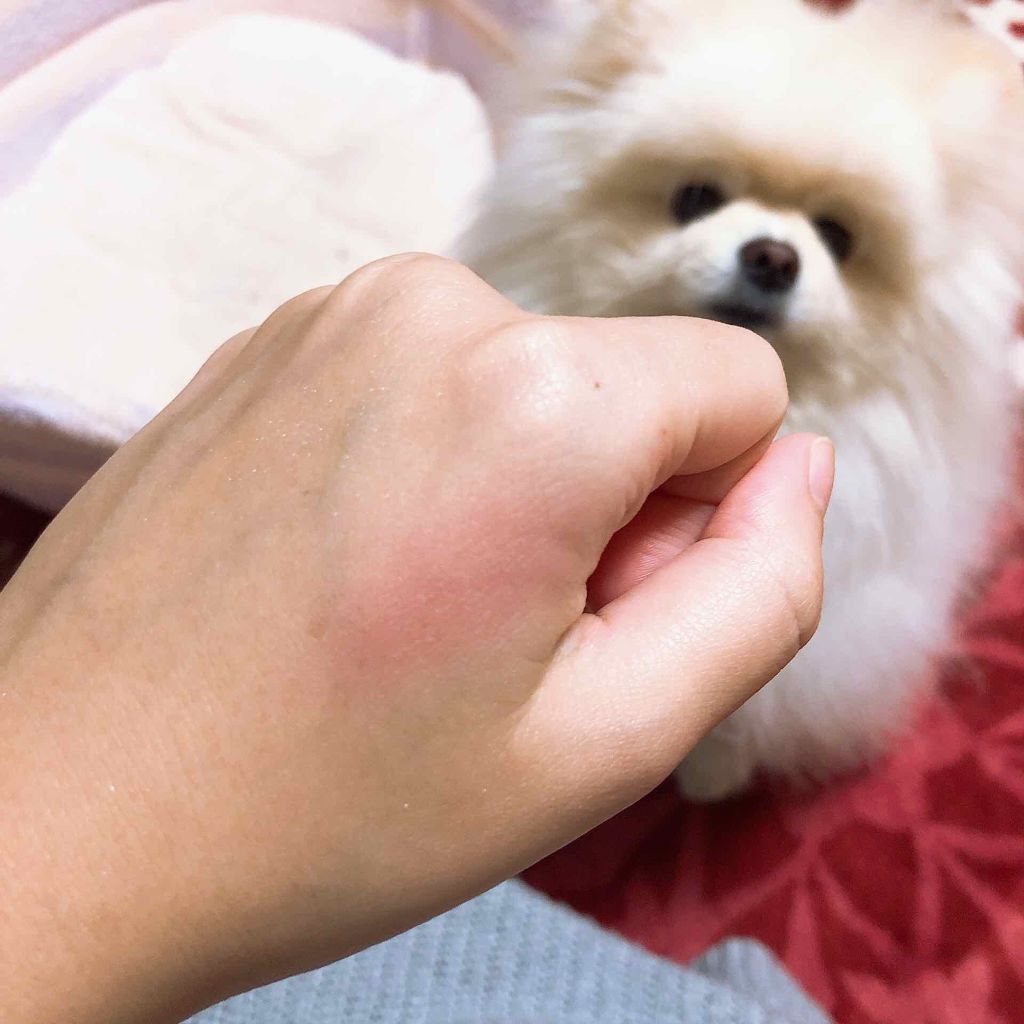 【旧品】パウダーチークス/キャンメイク/パウダーチークを使ったクチコミ(2枚目)