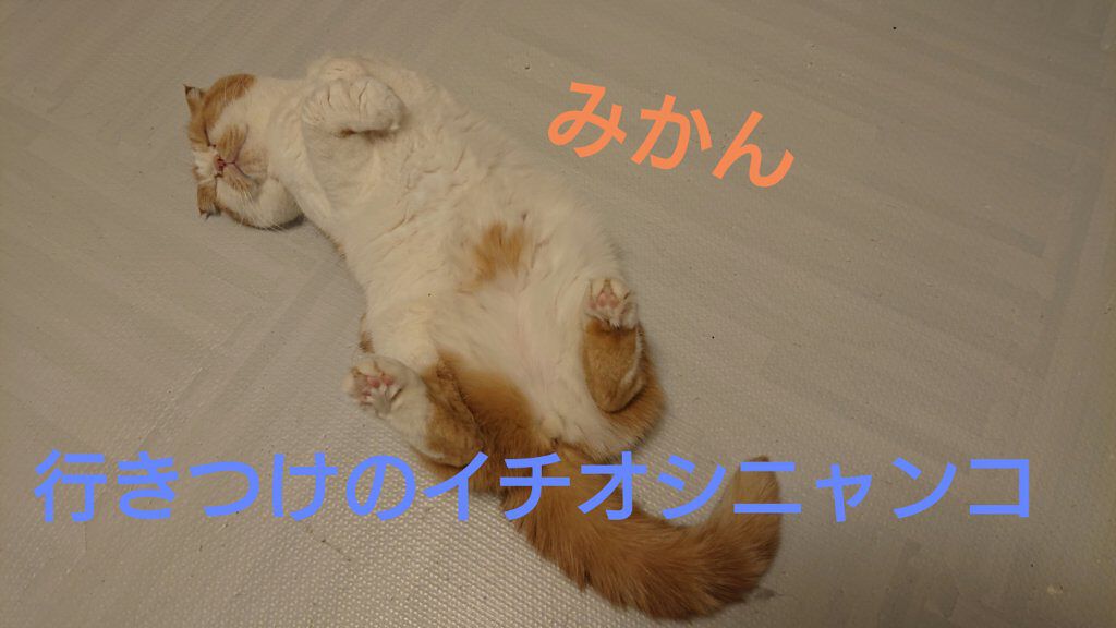 ソフティモ 薬用ホワイト クレンジングウォッシュ/ソフティモ/洗顔フォームを使ったクチコミ（2枚目）