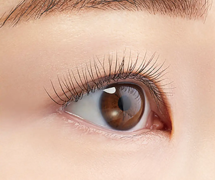 リッチブラック