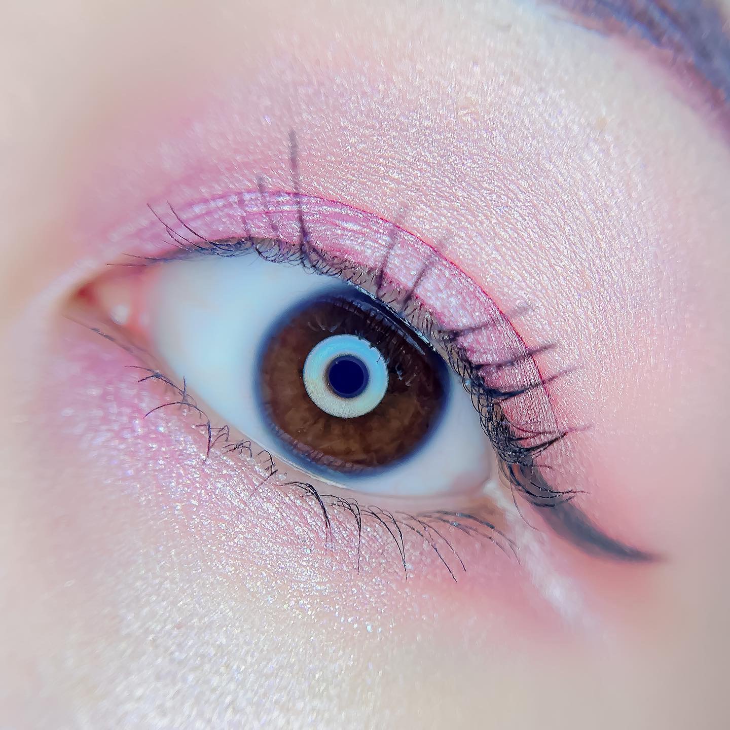 【旧】サンク クルール クチュール/Dior/アイシャドウパレットを使ったクチコミ（3枚目）