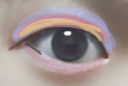 UR GLAM BLOOMING EYE COLOR PALETTE/U R GLAM/アイシャドウパレットを使ったクチコミ(4枚目)