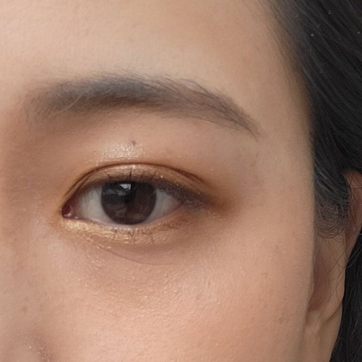ヴィセ リシェ アイブロウパウダー/Visée/パウダーアイブロウを使ったクチコミ(5枚目)