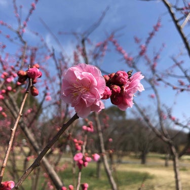 ❤️雑談💙

ここ3日ほど投稿できてなくて申し訳ないです😢
毎日投稿……既に1ヶ月ほどで守れてない🤣
気持ちの浮き沈みが激しい人間なので投稿するのがしんどかったってのもあるんですけど、少しLIPSから離