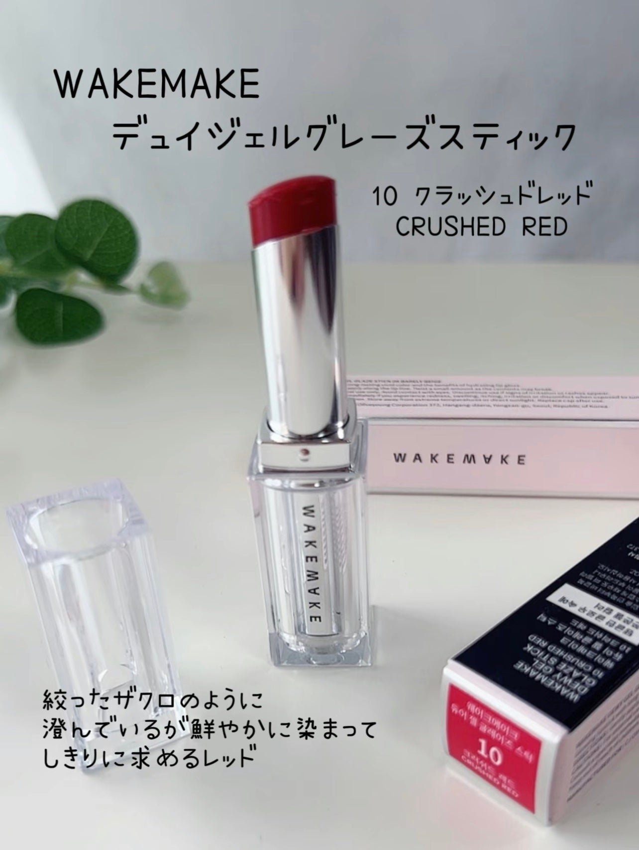 デュイジェルグレーズスティック/wakemake/口紅を使ったクチコミ(3枚目)