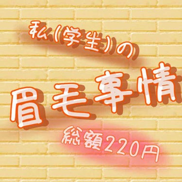 今回は、私の眉毛についてお話します！

私の学校は髪染め禁止なので黒髪なのですが、
黒髪って1番眉毛に困りませんか？


余談なのですが、先日暇だったのでいとこについて美容院に行ったのですが、そこで学生