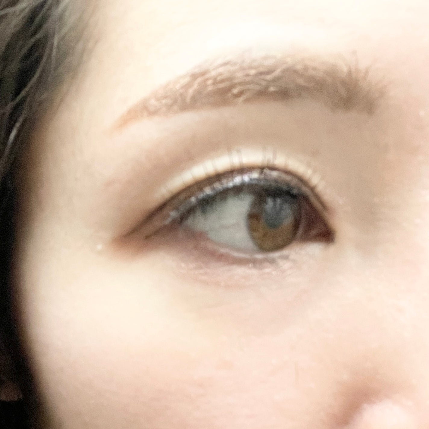 マジカルアイブロウカラー/Fujiko/眉マスカラを使ったクチコミ(4枚目)