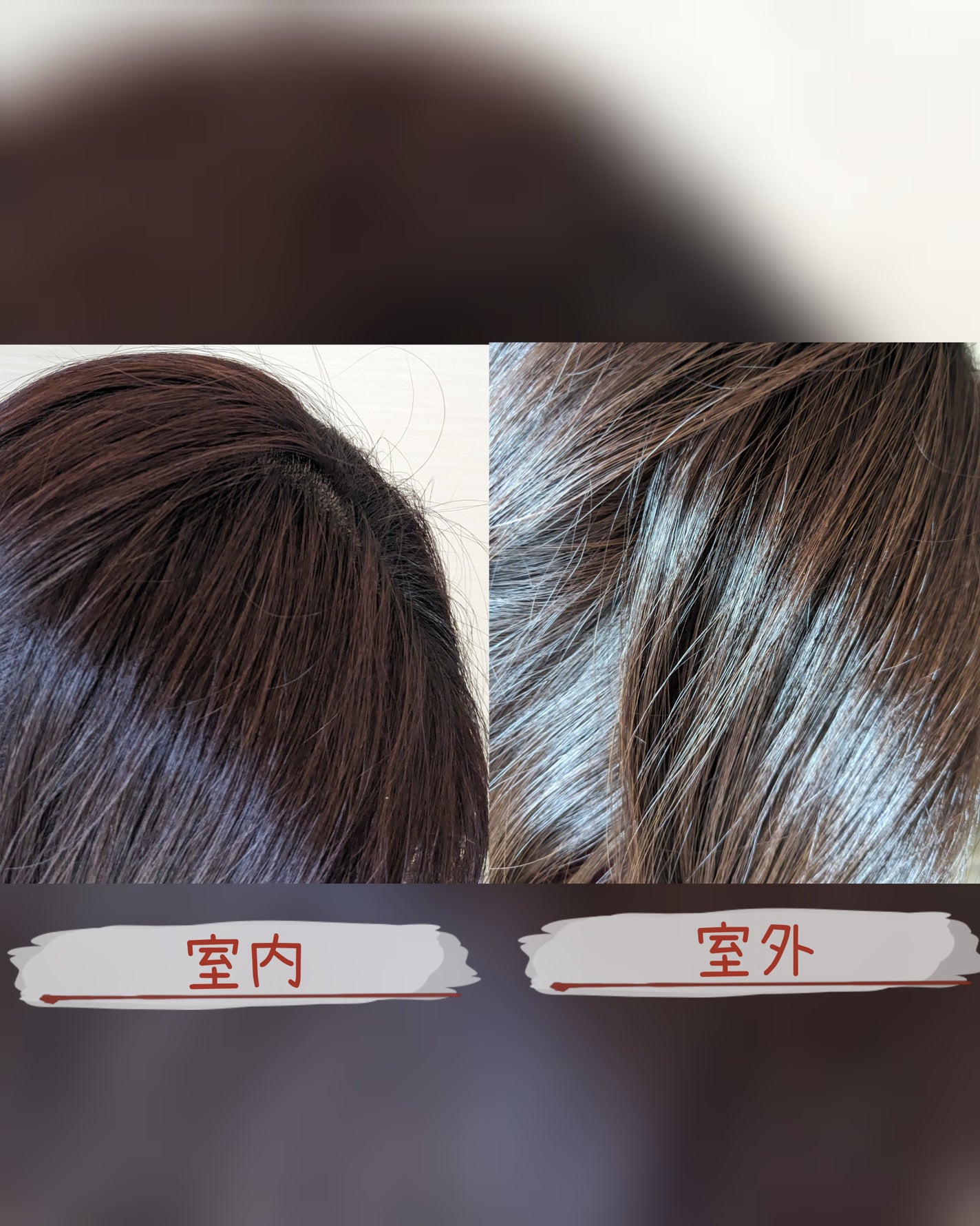 コスメ大好き☆きらら on LIPS 「コエタスのモニターキャンペーンでDOLCEカラーシャンプーを使..」(6枚目)