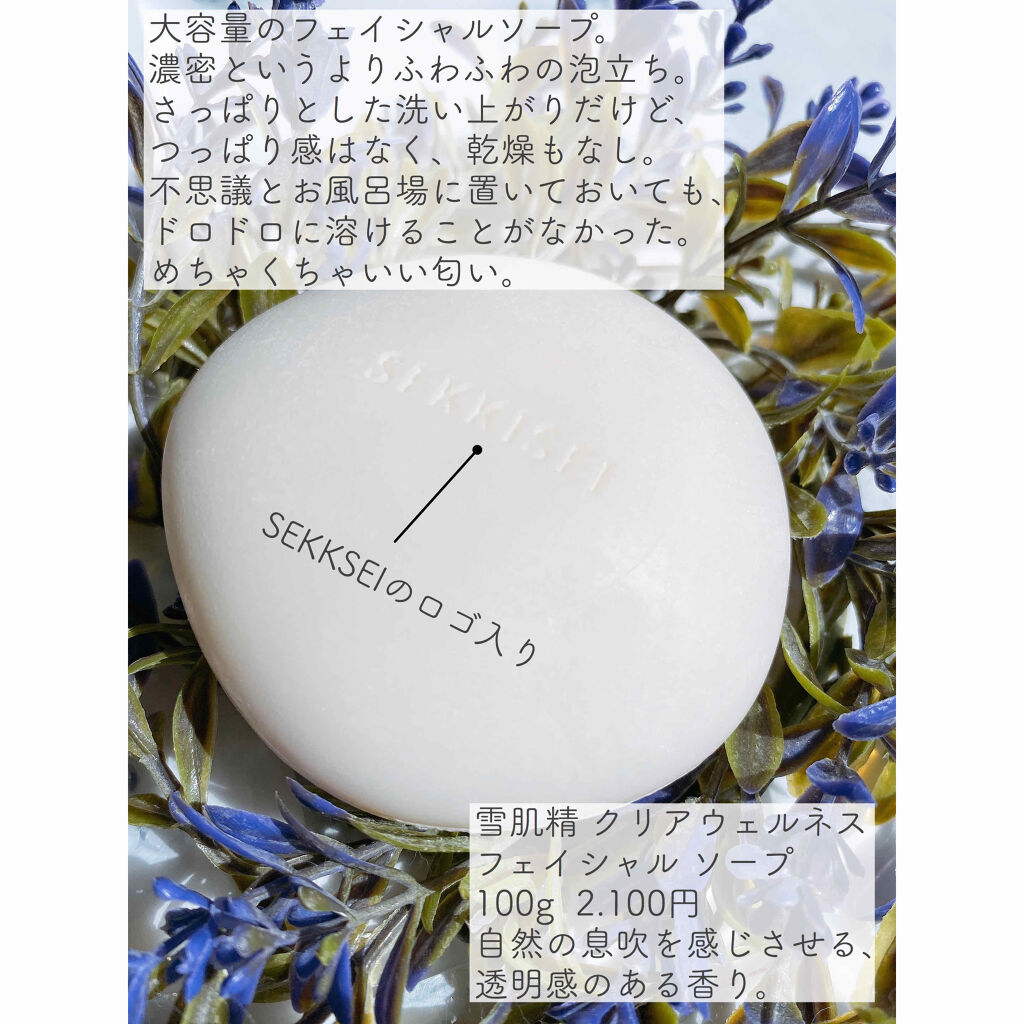 淡雪化粧 シラユキ スリーブ 状態A-〕スリーブ『淡雪化粧シラユキ(Vol.219)』70枚入り