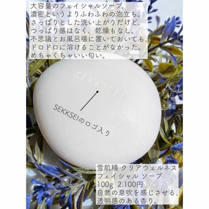 クリアウェルネス ナチュラル ドリップ/雪肌精/化粧水を使ったクチコミ(5枚目)