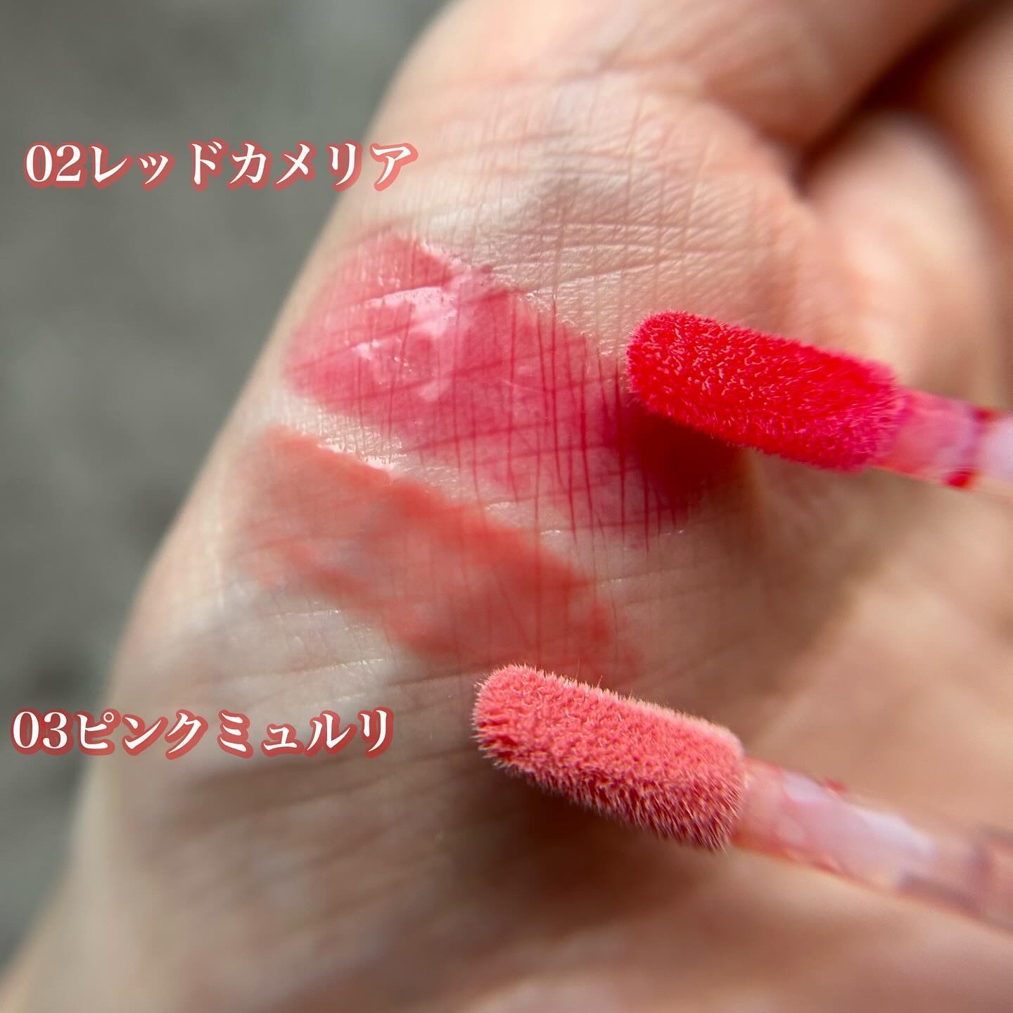 ナチュラルブルームリップオイルセラム 3色セット/PINATE/リップグロスを使ったクチコミ（3枚目）