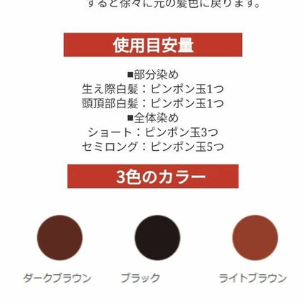 RJヘアカラートリートメント ライトブラウン/アピセラピーコスメティクス/洗い流すヘアトリートメントの画像