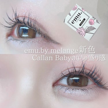 
emu. by melange
Callan Baby
¥1,200 (1month)

レンズ直径14.2
着色直径13.6
BC8.6

emu.by melangeさん (@) の新色カラコンを