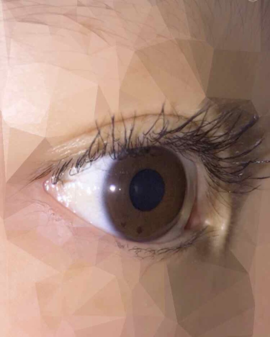 オーマイラッシュ スリムカラ ボリューム＆カール/ETUDE/マスカラを使ったクチコミ（1枚目）