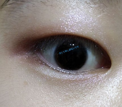 スキニーリッチシャドウ/excel/アイシャドウパレットを使ったクチコミ(2枚目)