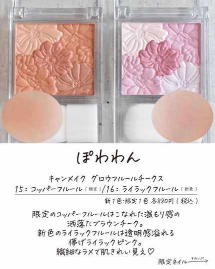 ここん|似合うクリエイター on LIPS 「知らないと損する!秋の大本命プチプラコスメCANMAKE✉︎𓃶..」(6枚目)