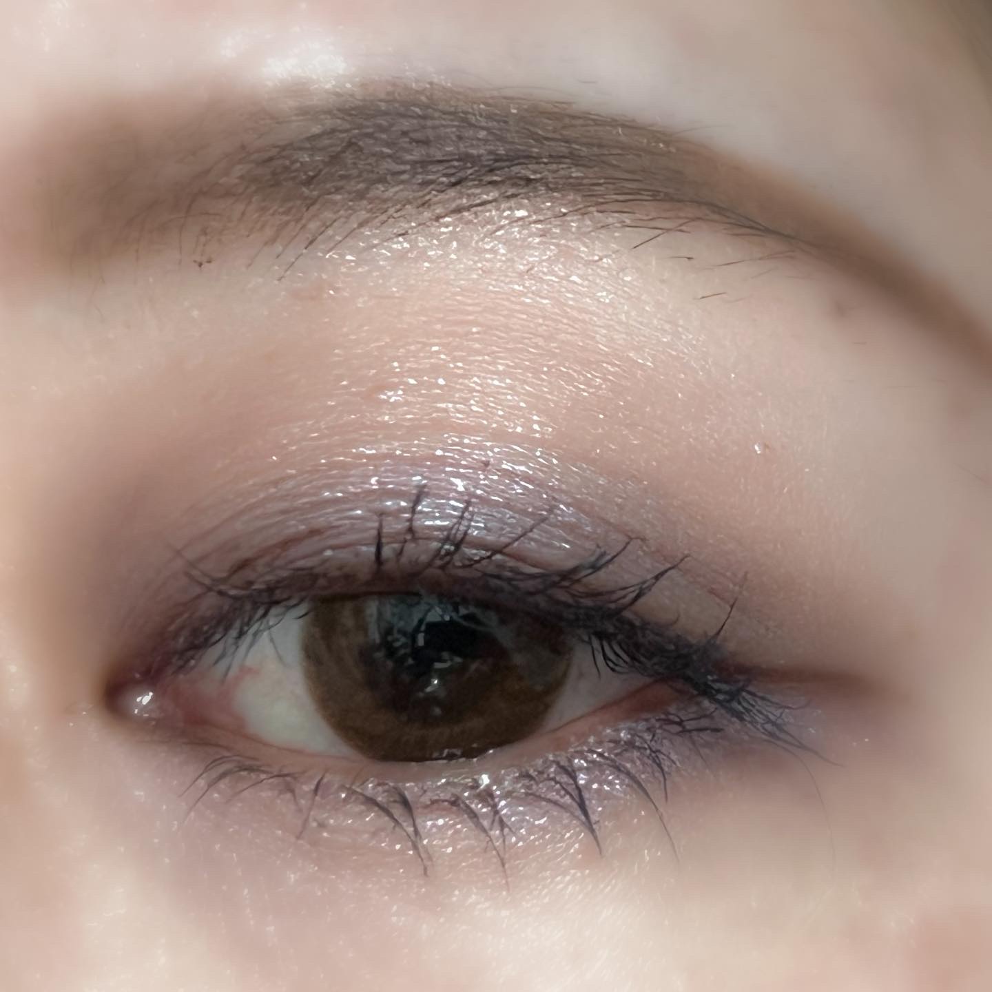 【旧】サンク クルール クチュール/Dior/アイシャドウパレットを使ったクチコミ（3枚目）