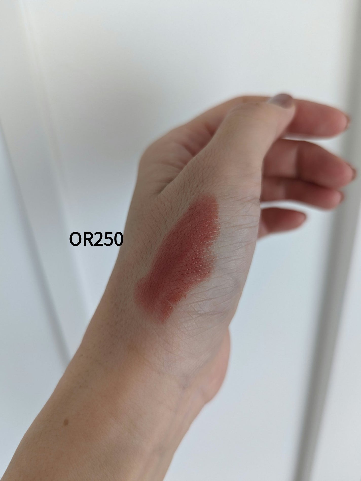 ネンマクフェイク ルージュ/Visée/口紅を使ったクチコミ(4枚目)